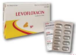 Thuốc Levofloxacin SPM 250  điều trị các trường hợp nhiễm khuẩn